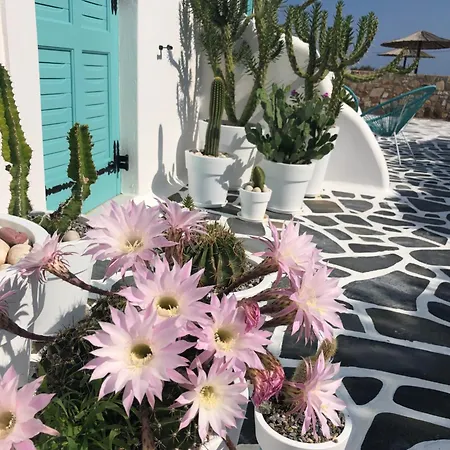 Naxos Cave Lejlighed *