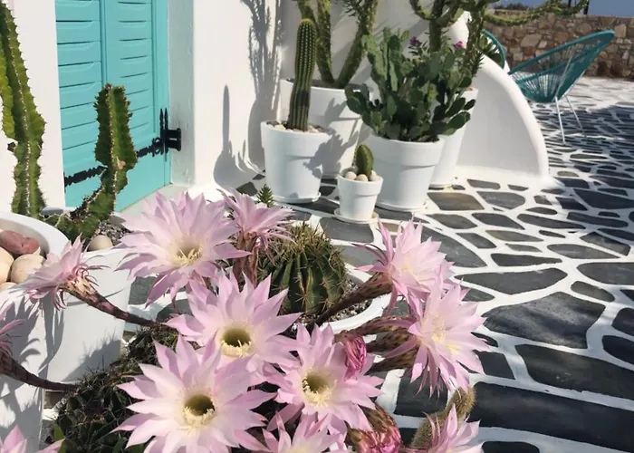 Naxos Cave Apartment *